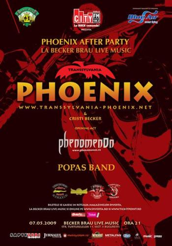 Phoenix-14-Medium